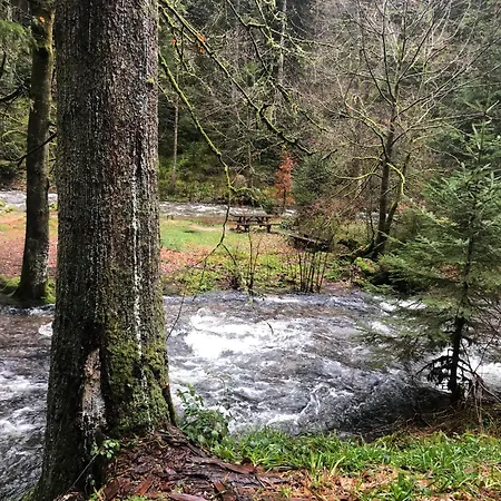 Au Fil De L'eau *