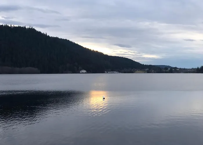 샬레 Au Fil De L'eau 제라르메르